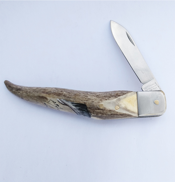 Navaja de cuerno de venado mango de punta, abierta